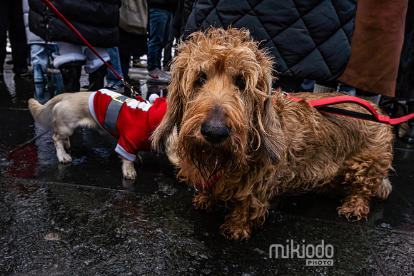 mikiodo251214_4304_LR