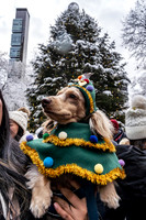 mikiodo251214_4293_LR