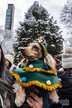mikiodo251214_4293_LR