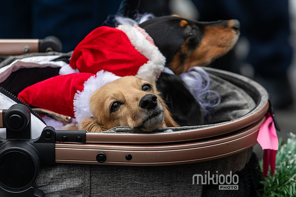 mikiodo251214_8413_LR