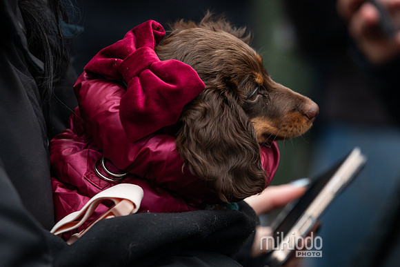 mikiodo251214_8415_LR