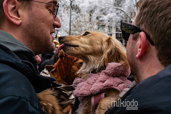 mikiodo251214_4246_LR