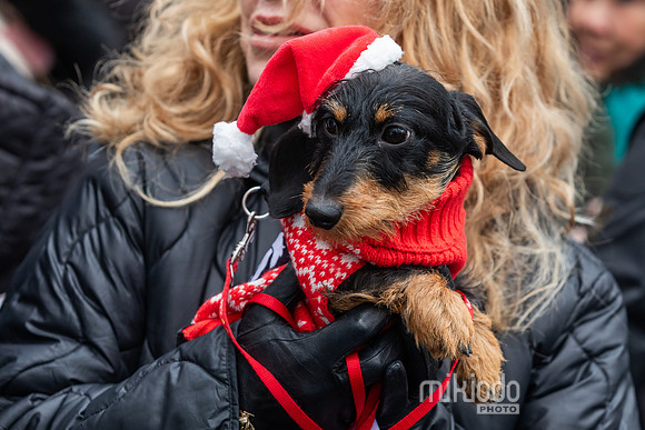 mikiodo251214_8418_LR
