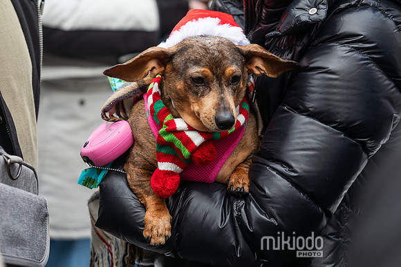 mikiodo251214_8414_LR
