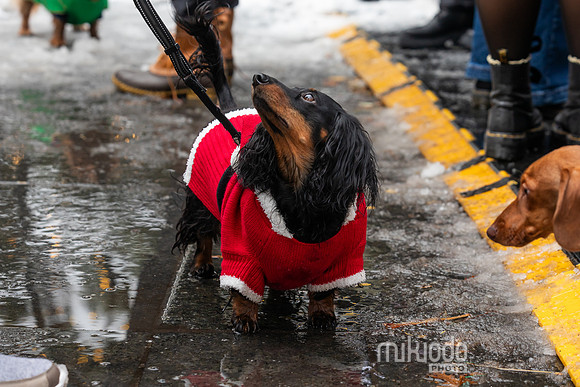 mikiodo251214_8410_LR