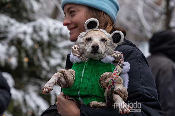 mikiodo251214_8450_LR
