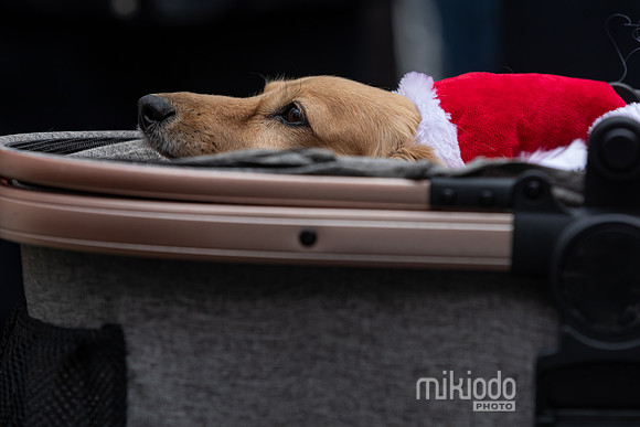 mikiodo251214_8431_LR