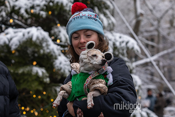 mikiodo251214_8456_LR