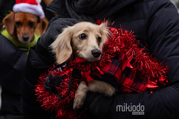 mikiodo251214_8465_LR