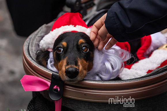 mikiodo251214_8470_LR