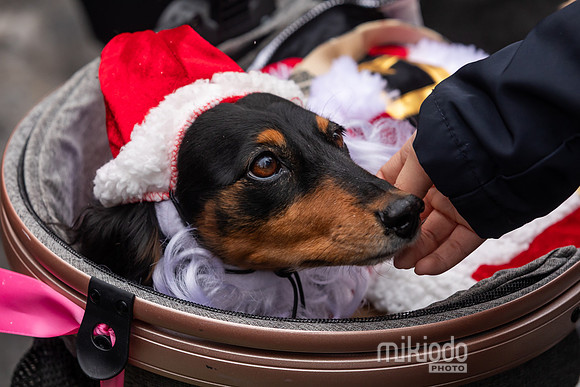 mikiodo251214_8469_LR