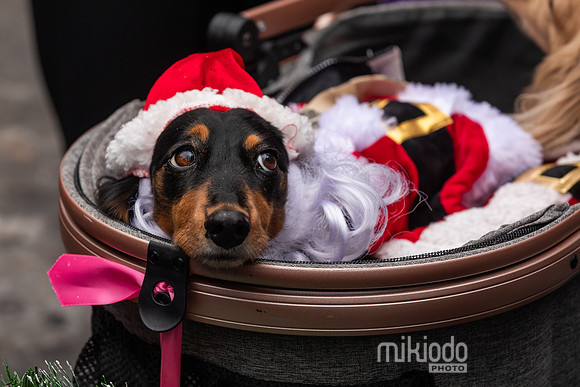 mikiodo251214_8472_LR