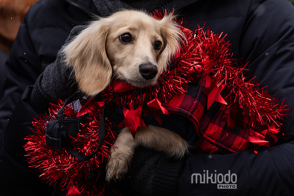 mikiodo251214_8467_LR