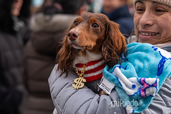 mikiodo251214_8485_LR