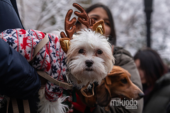 mikiodo251214_8480_LR