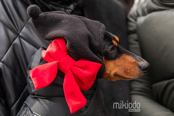 mikiodo251214_8492_LR