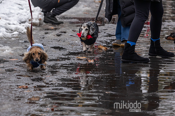 mikiodo251214_8497_LR
