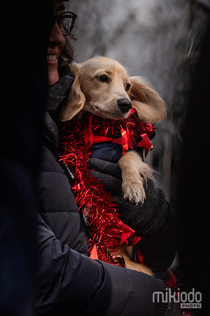 mikiodo251214_8494_LR