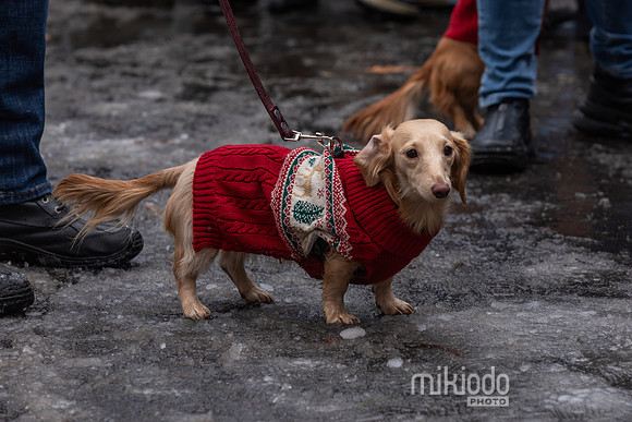 mikiodo251214_8511_LR