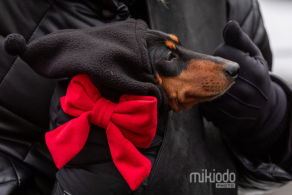 mikiodo251214_8529_LR