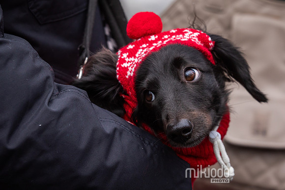 mikiodo251214_8527_LR