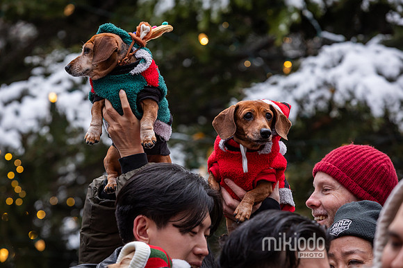 mikiodo251214_8535_LR