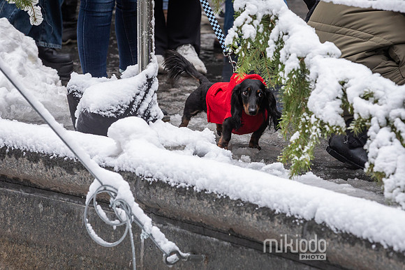 mikiodo251214_8514_LR