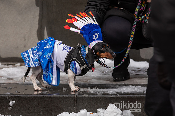 mikiodo251214_8552_LR