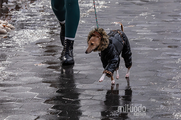 mikiodo251214_8560_LR