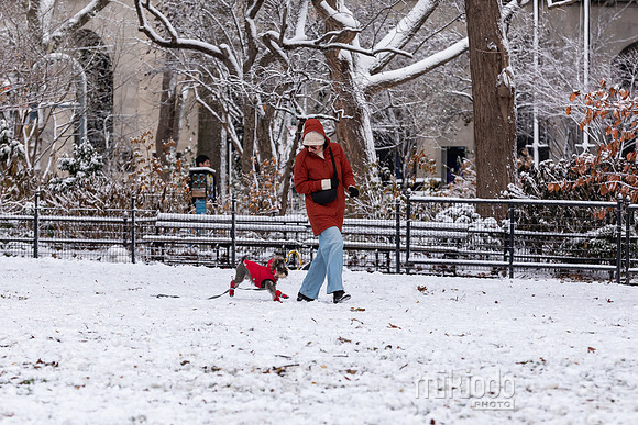 mikiodo251214_8564_LR