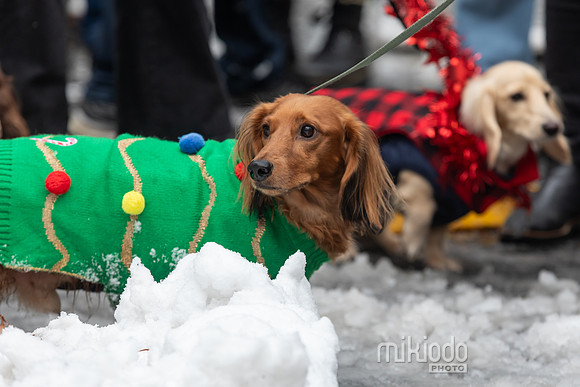 mikiodo251214_8428_LR