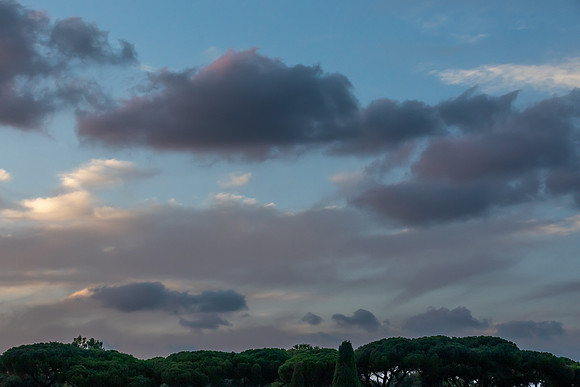 mikiodo230801_9935_LR