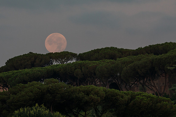 mikiodo230802_0084_LR