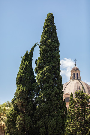 mikiodo230802_0134_LR