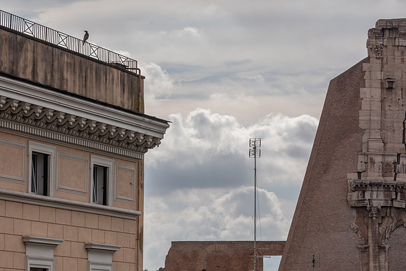 mikiodo230801_9763_LR