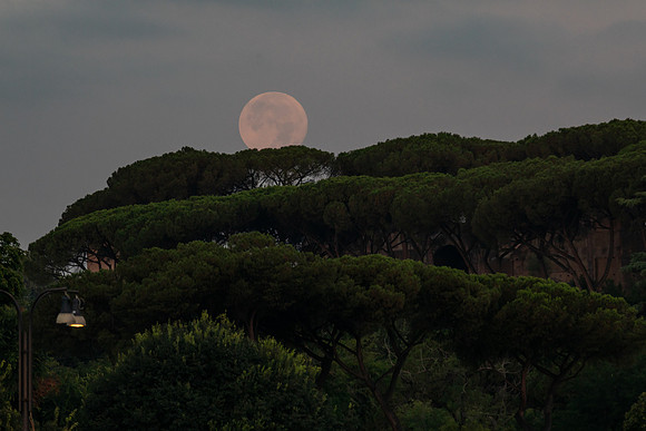 mikiodo230802_0085_LR