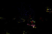mikiodo231021_5571_NR_LR