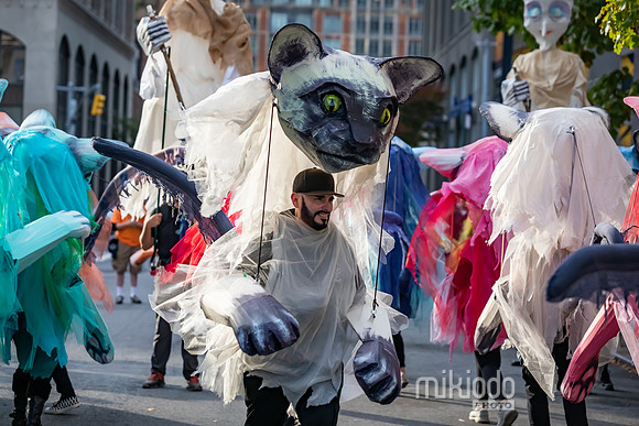 mikiodo241031_8442_LR