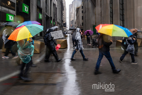 mikiodo240323_07717_LR