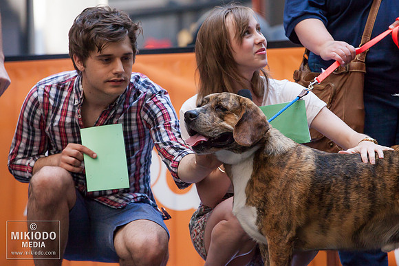 Broadway Barks 2014