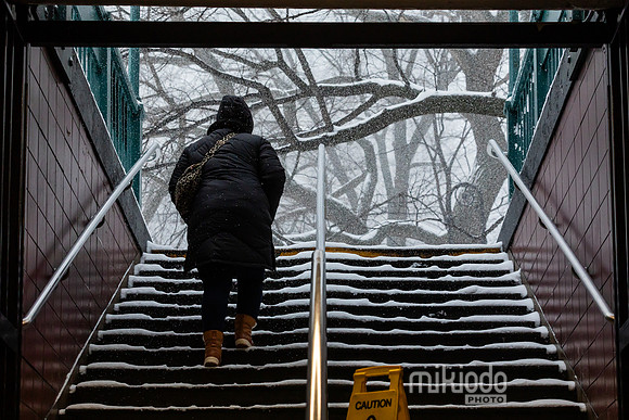 mikiodo260125_3252_LR