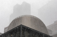 mikiodo260125_3279_LR