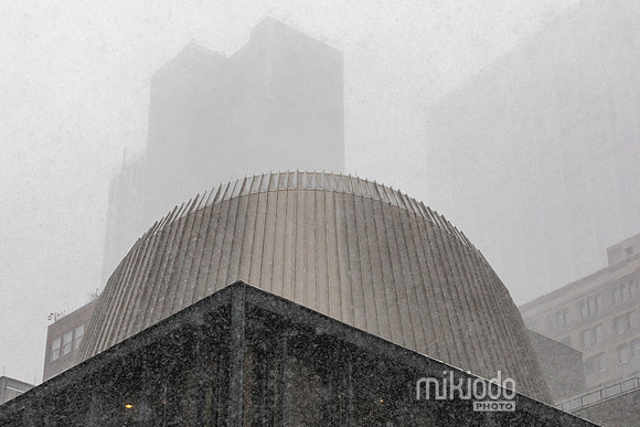 mikiodo260125_3279_LR