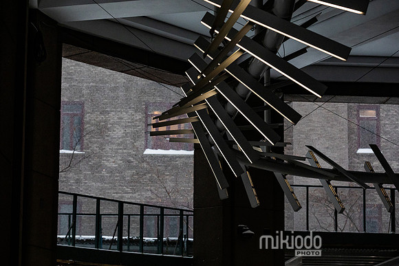 mikiodo260125_3338_LR