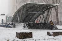 mikiodo260125_3336_LR