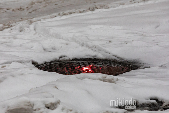 mikiodo260125_3429_LR