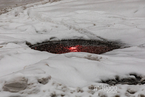 mikiodo260125_3431_LR