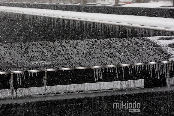 mikiodo260125_3539_LR