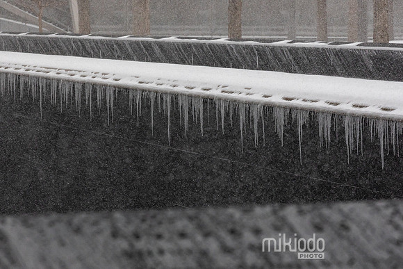 mikiodo260125_3540_LR