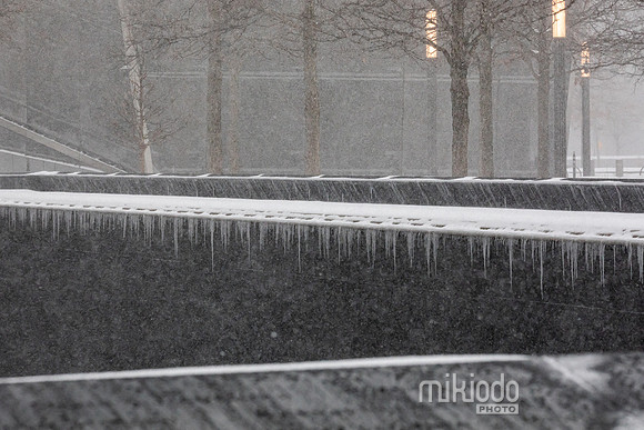 mikiodo260125_3538_LR